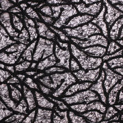 Bridal Embroidered Lace — BL21B — 115cm Wide