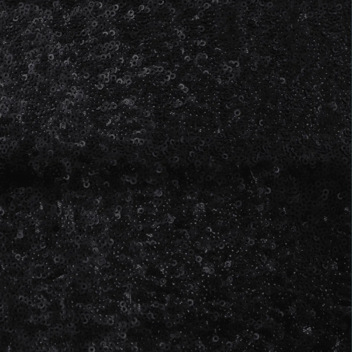 Allover Sequin Lace — 150cm Wide