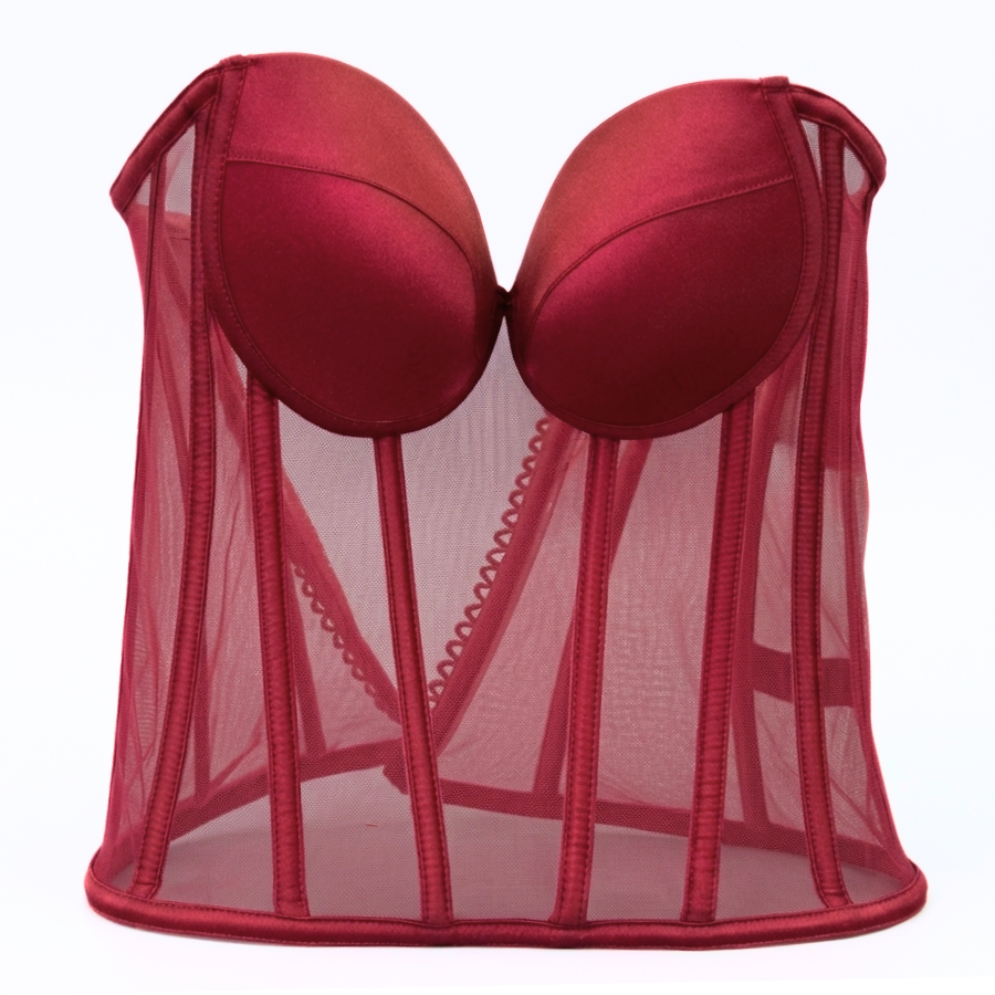 Elegance Sheer Mesh Structured Corset Bustier Top — Assorted Colours