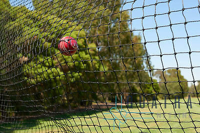 Cricket Ball Net - Green and Black